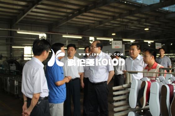 省統計局領(lǐng)導一行蒞區參觀(guān)調研企業(yè)發(fā)展情況